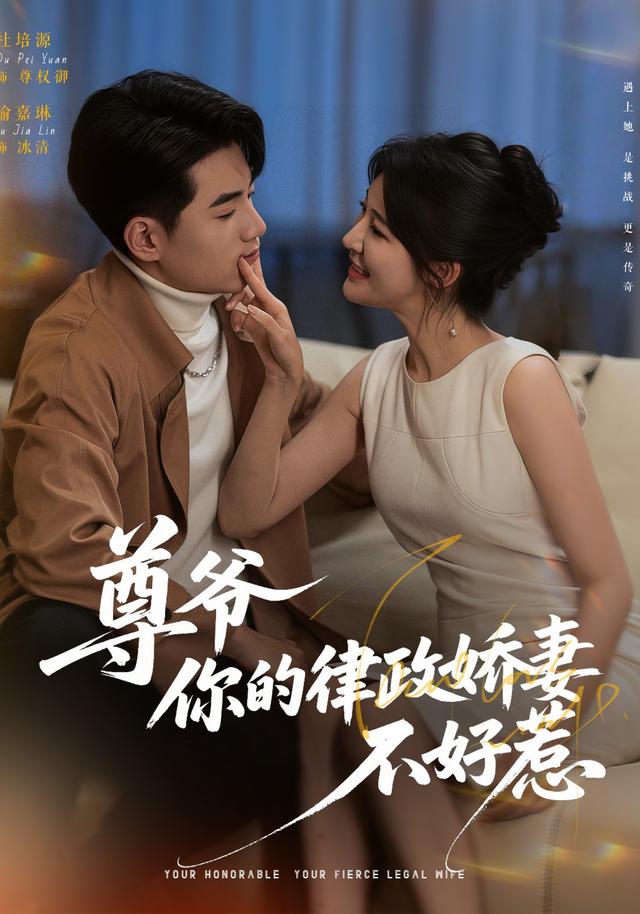 尊爷，你的律政娇妻不好惹封面图