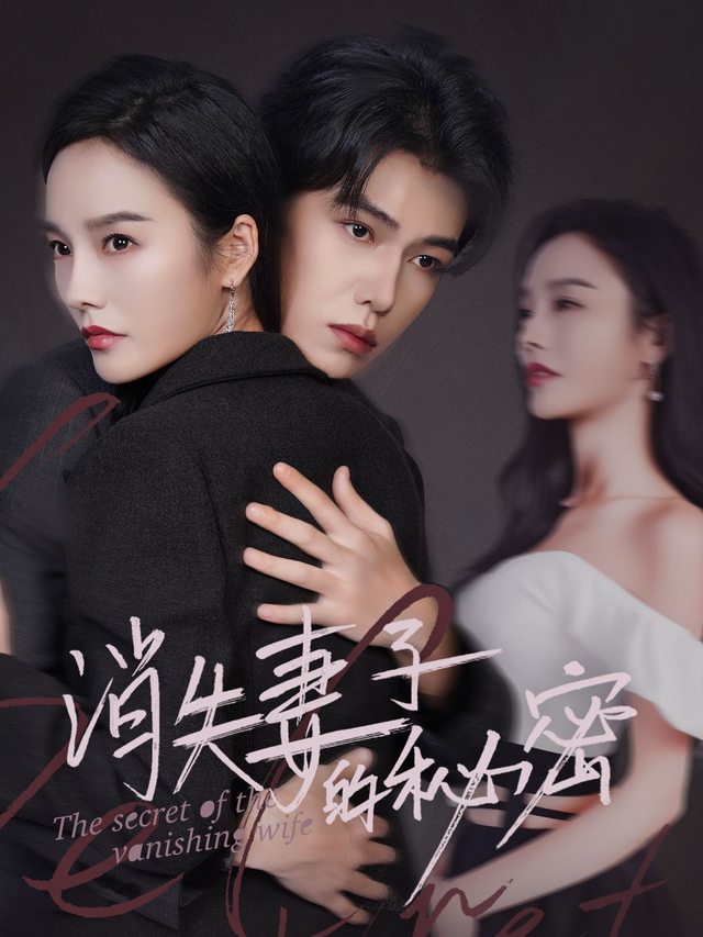 消失妻子的秘密封面图