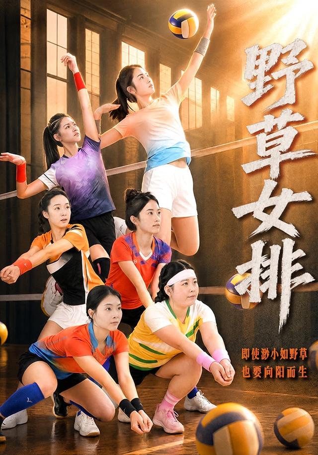 野草女排