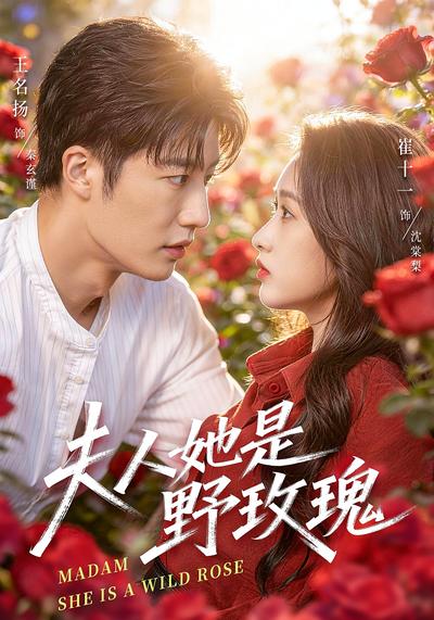 夫人她是野玫瑰