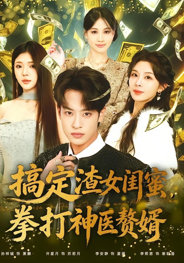 搞定渣女闺蜜，拳打神医赘婿