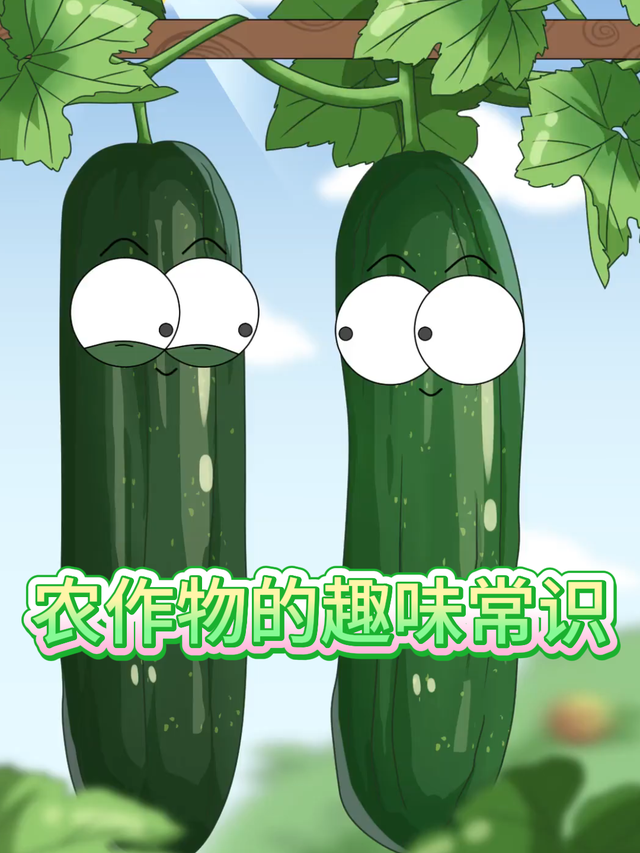 农作物的趣味常识