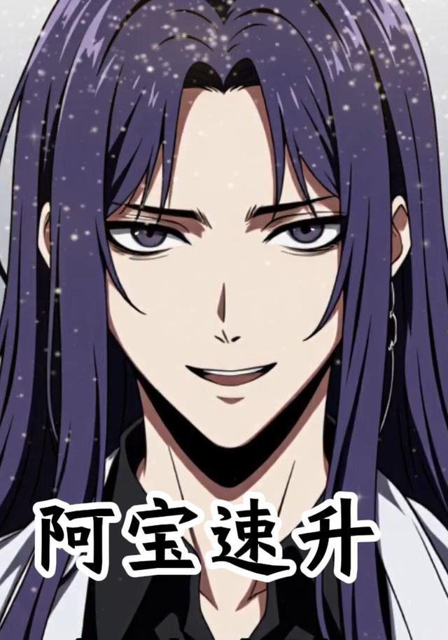阿宝速升