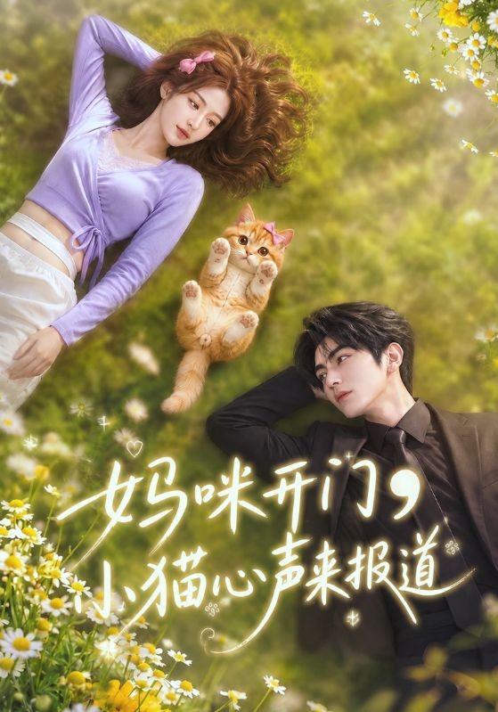 妈咪开门，小猫心声来报道