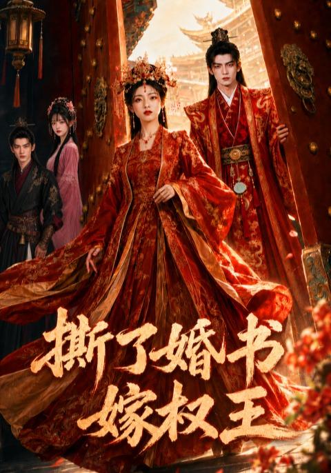 撕了婚书嫁权王