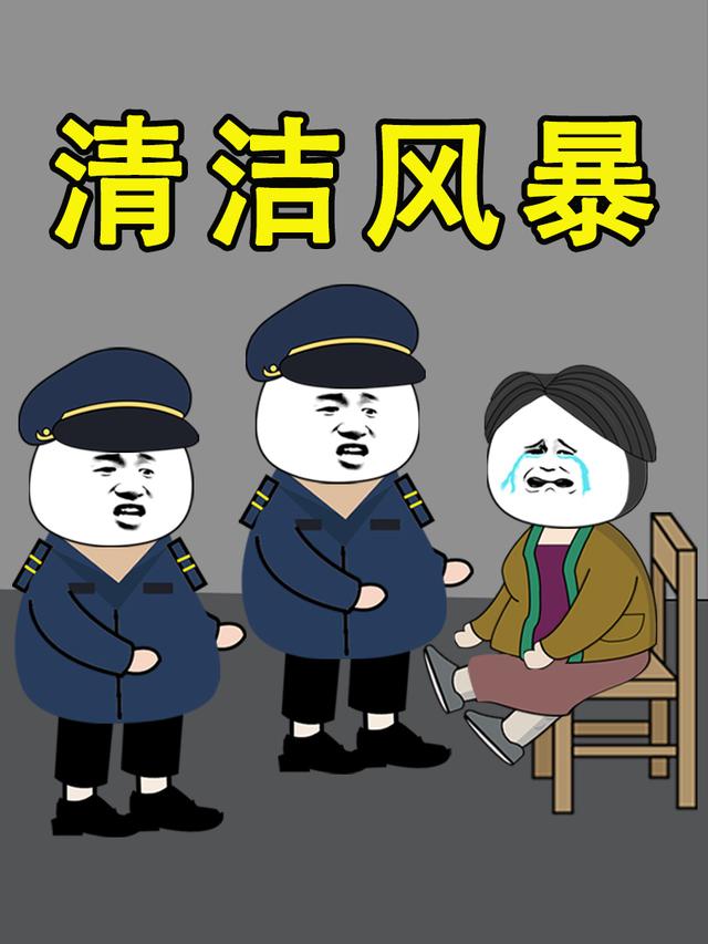 清洁风暴