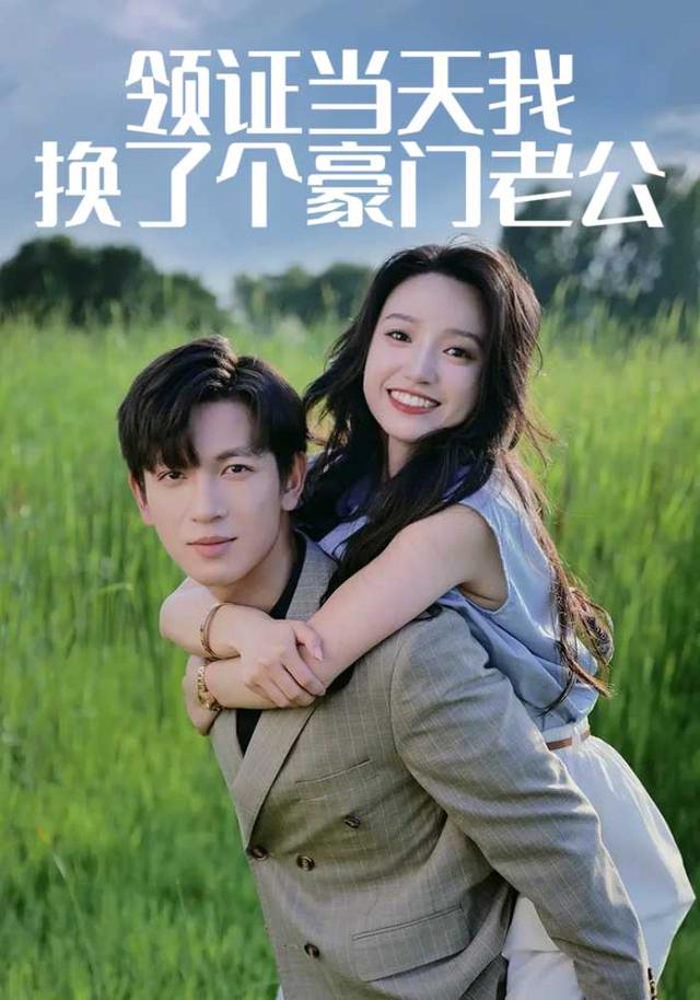 领证当天我换了个豪门老公封面图