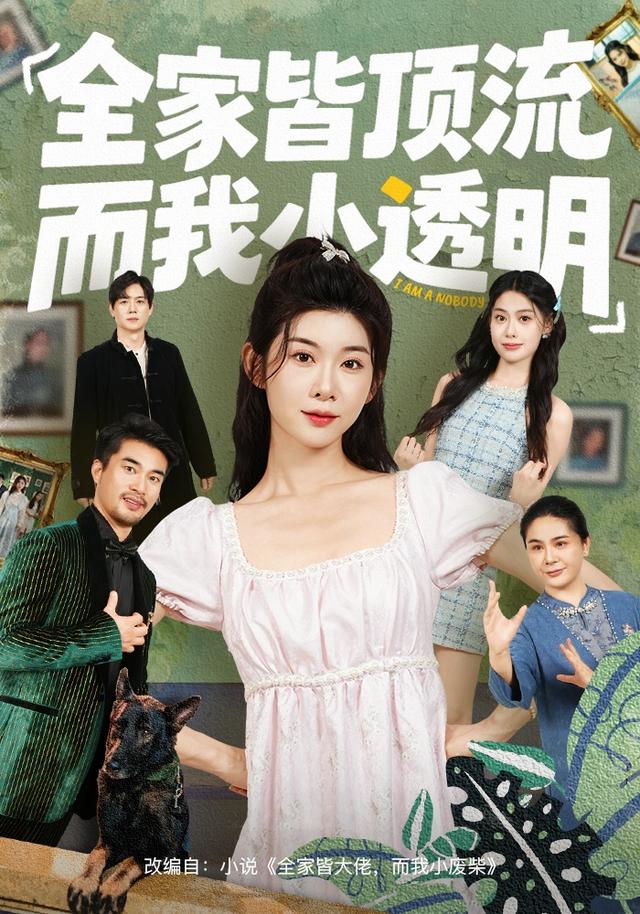 全家皆顶流，而我小透明封面图