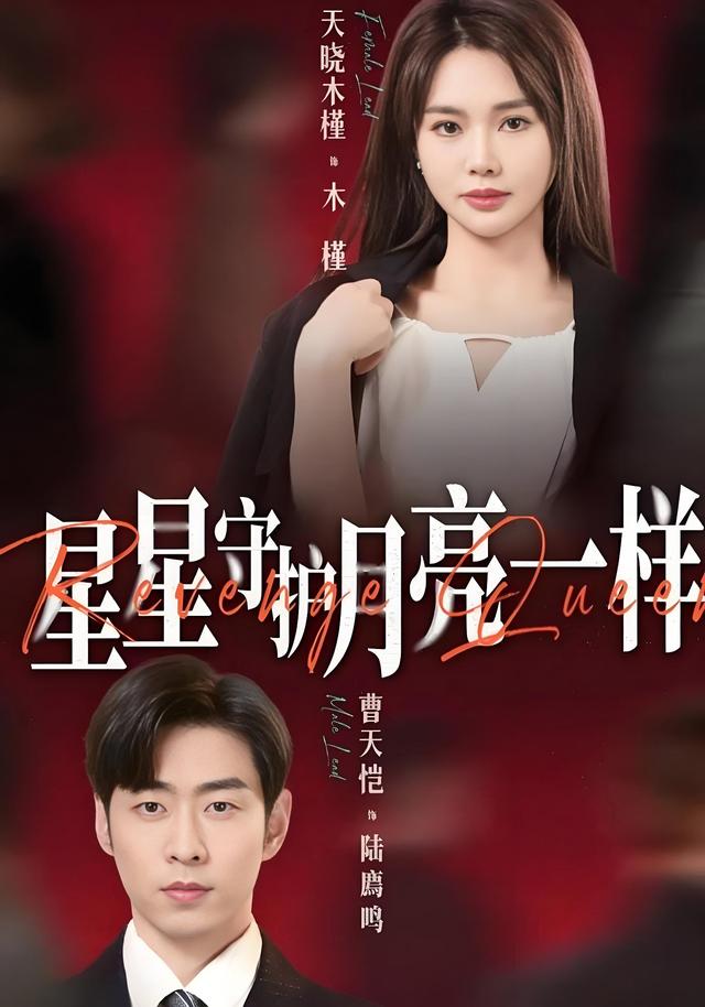 星星守护月亮一样封面图