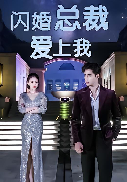 闪婚总裁爱上我