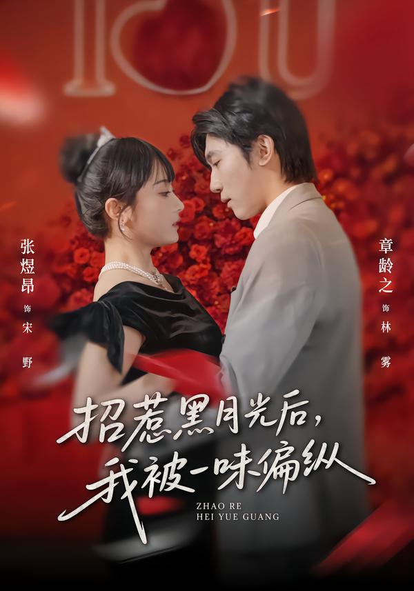 招惹黑月光后，我被一味偏纵