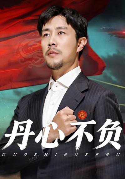 丹心不负封面图