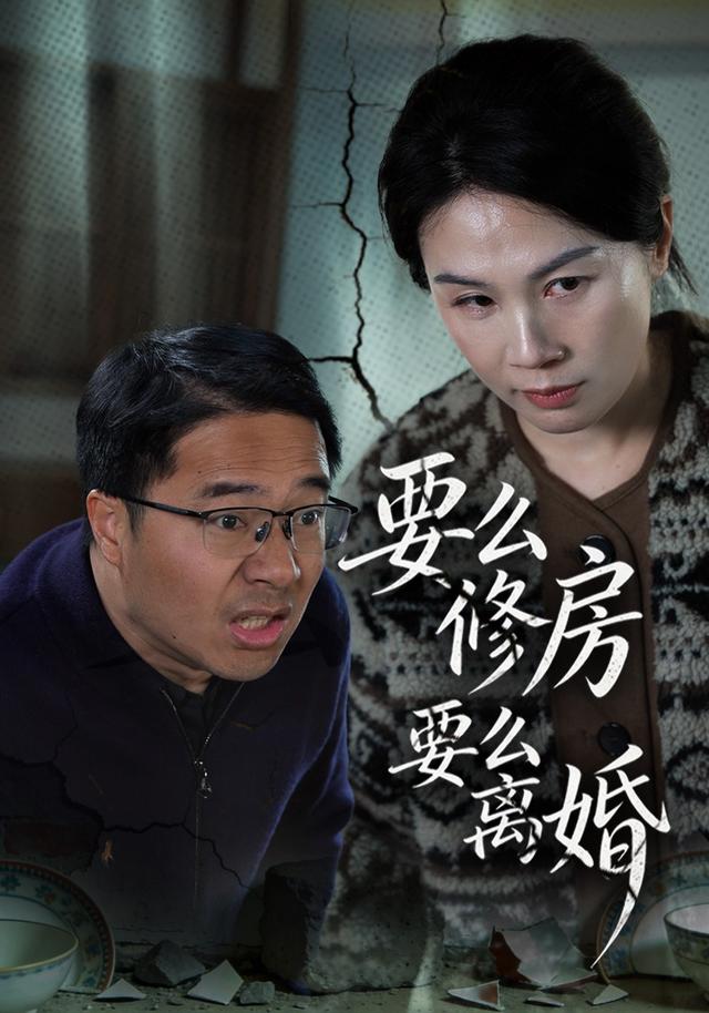 要么修房要么离婚 cover