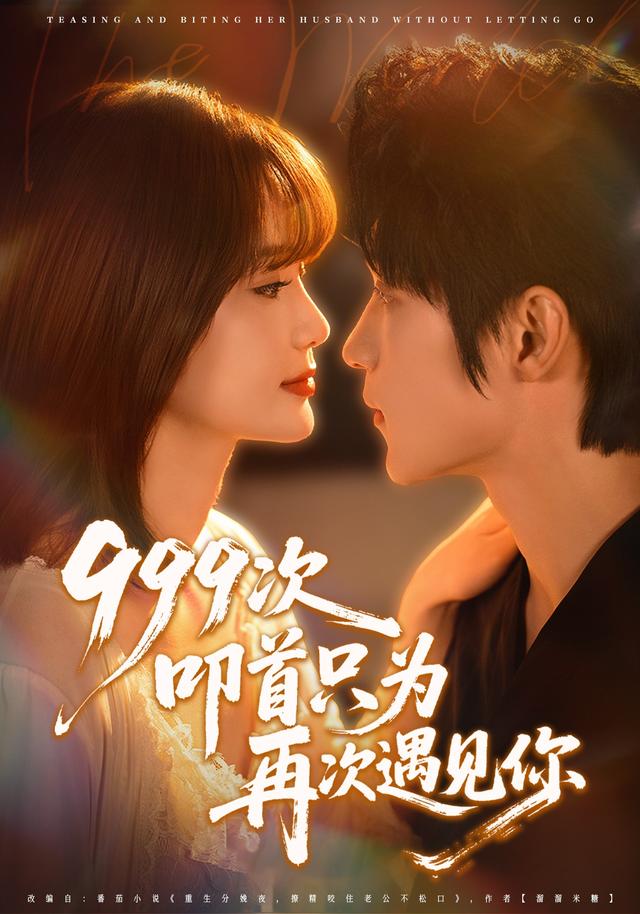 999次叩首只为再次遇见你封面图
