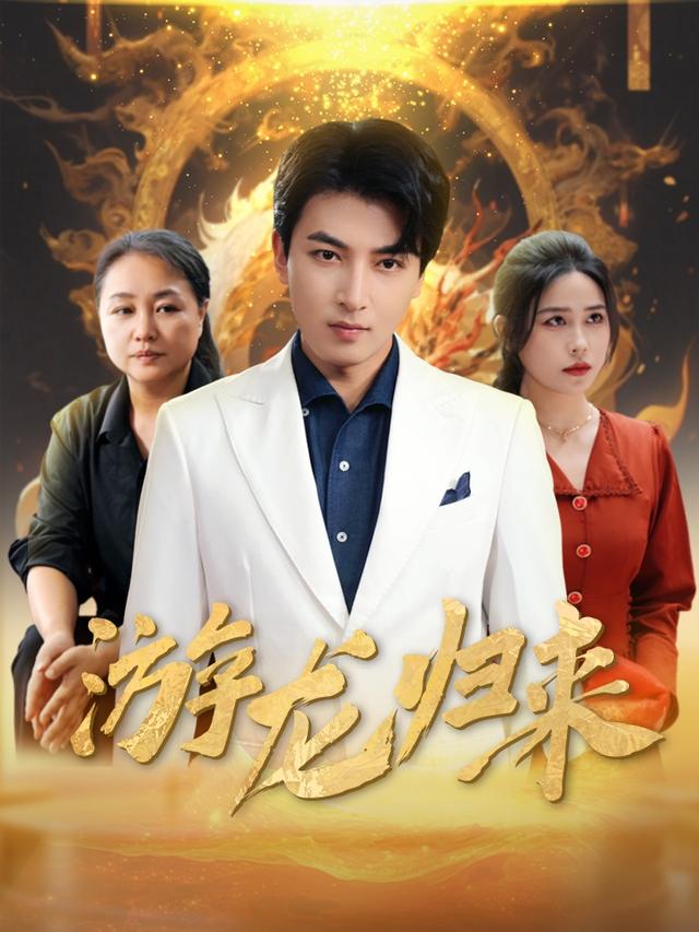 游龙归来封面图