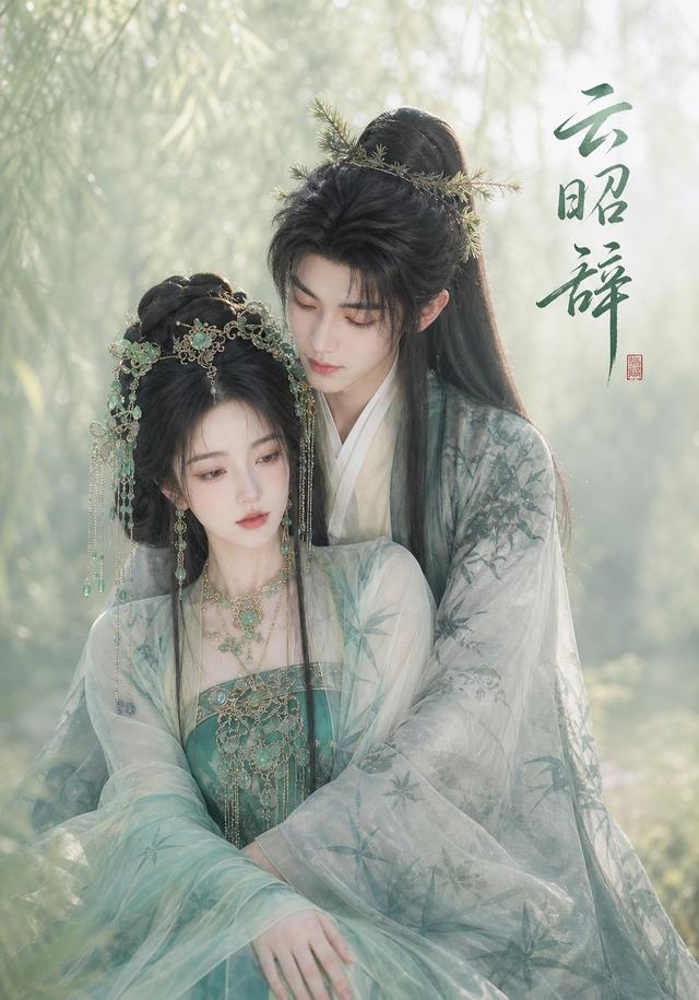 云昭辞 cover