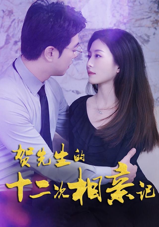 贺先生十二次相亲记封面图