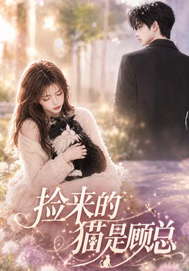 捡来的猫是顾总
