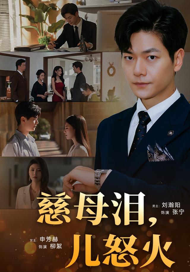 慈母泪，儿怒火封面图