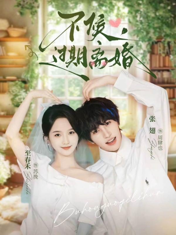 短剧《不候，过期离婚》海报