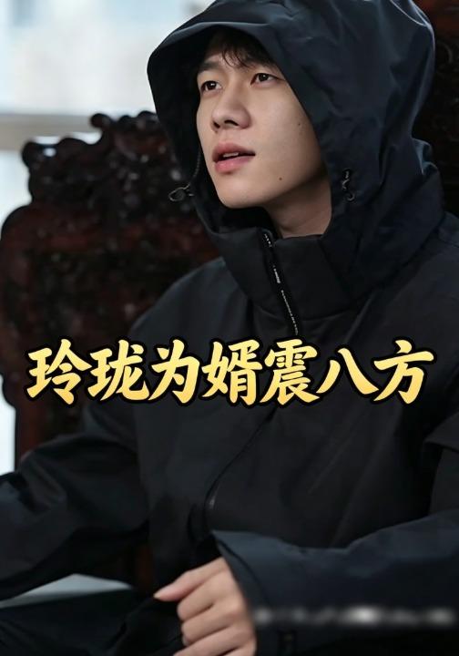 玲珑为婿震八方