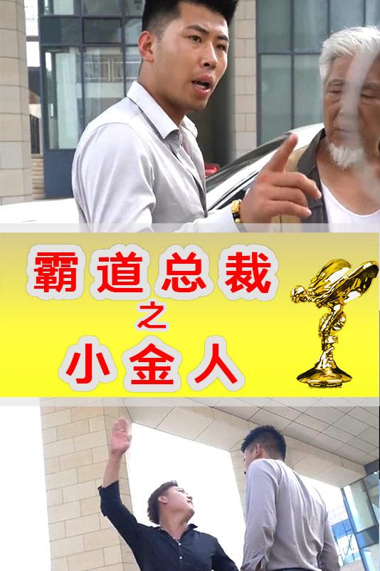 霸道总裁之小金人封面图