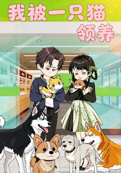 我被一只猫领养