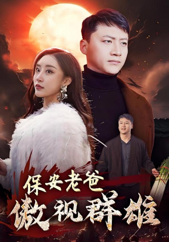 保安老爸傲视群雄封面图