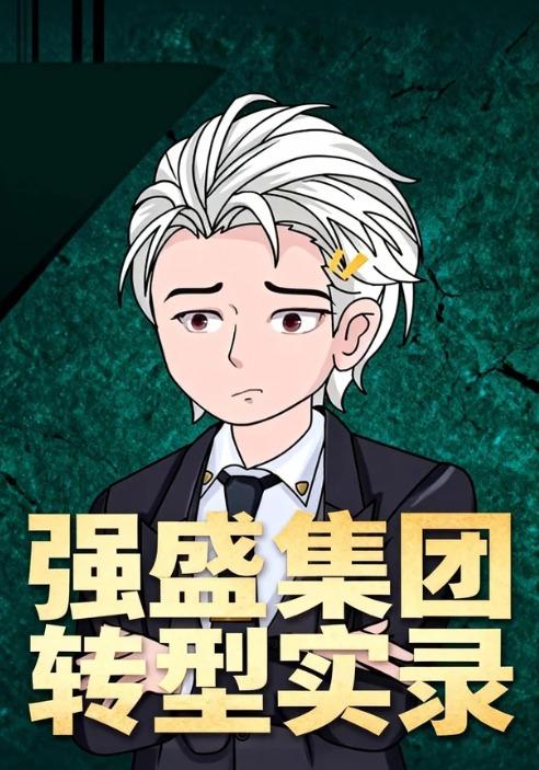 强盛集团转型实录封面图