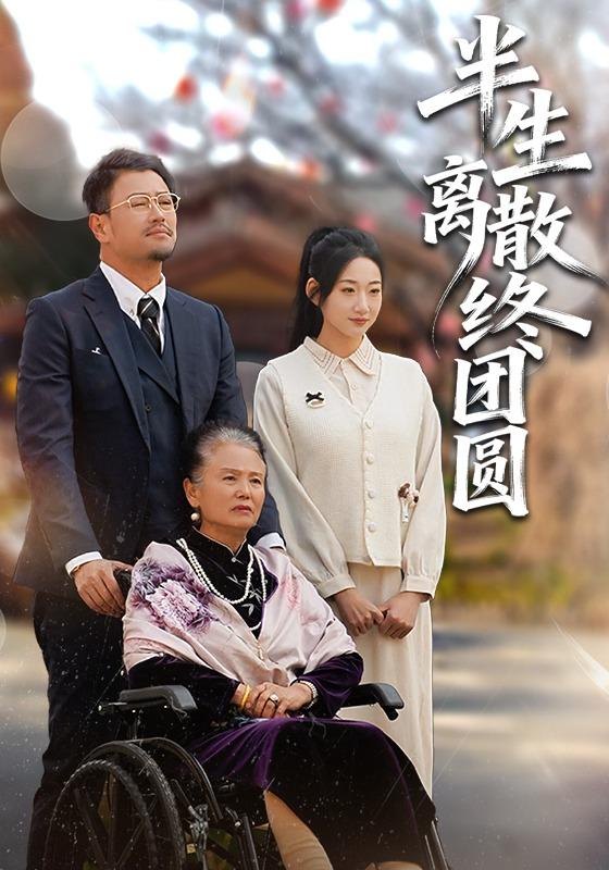半生离散终团圆封面图
