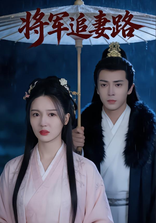 将军追妻路