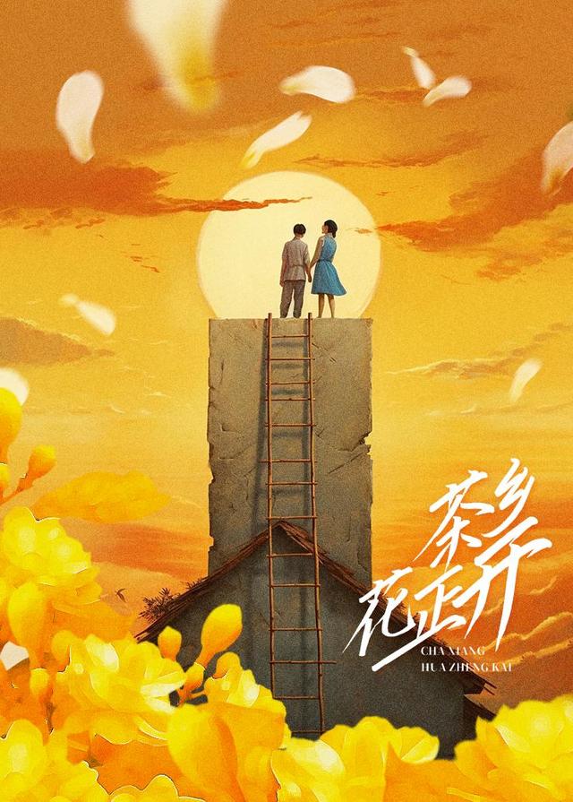 茶乡花正开封面图