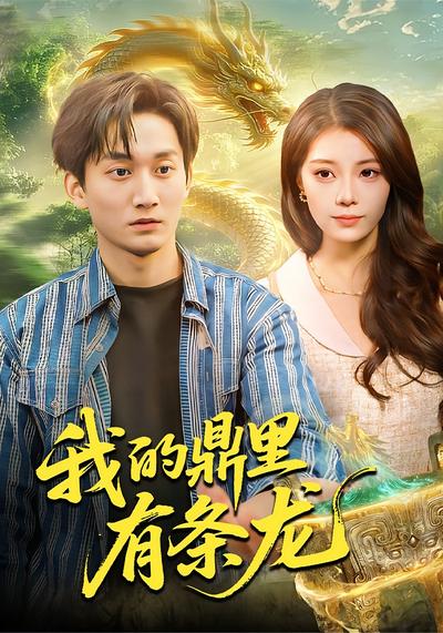 我的鼎里有条龙封面图