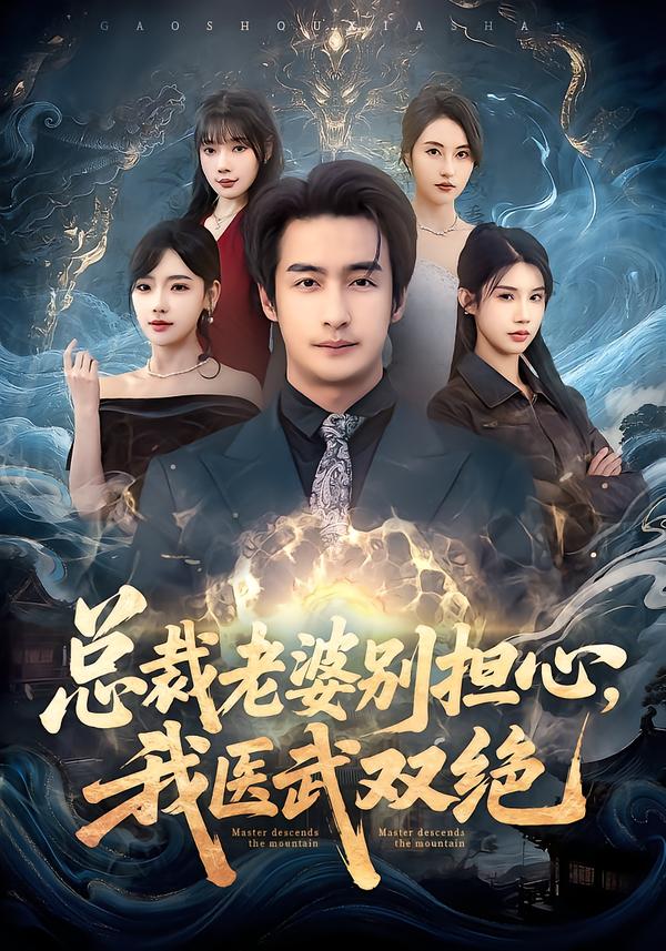 总裁老婆别担心，我医武双绝