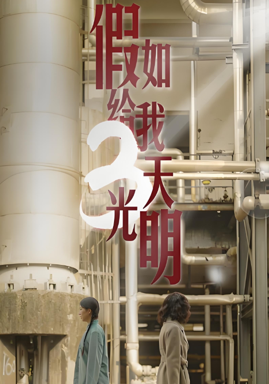 假如给我三天光明封面图