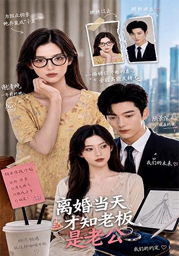 离婚当天才知老板是老公 cover