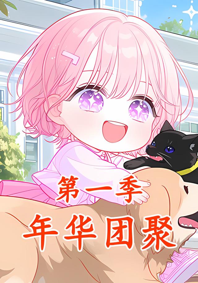 年华团聚第一季