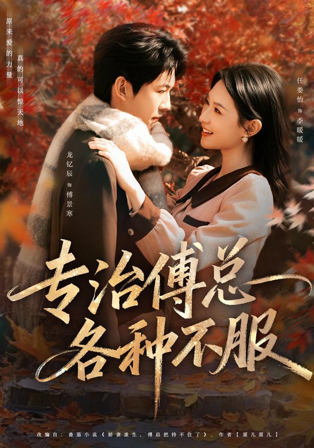 专治傅总各种不服封面图