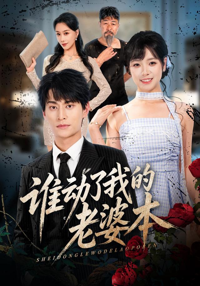 谁动了我的老婆本