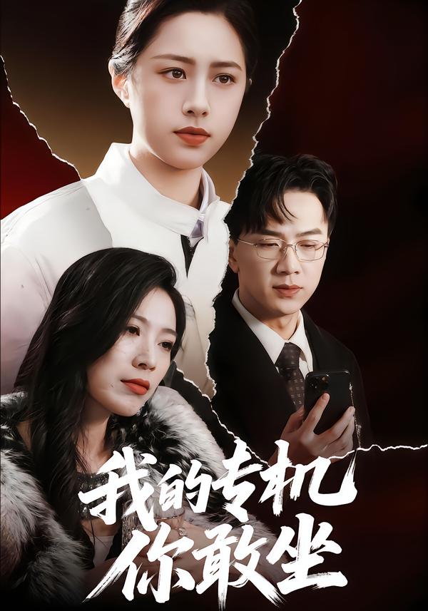 我的专机你敢坐