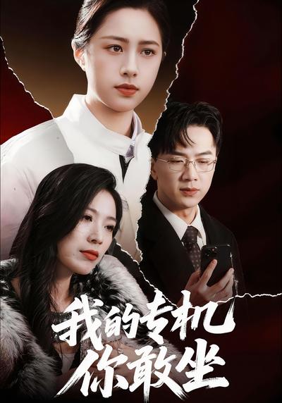 我的专机你敢坐封面图