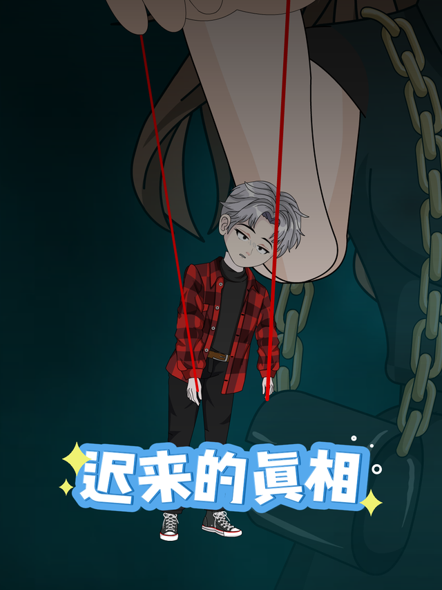 迟来的真相封面图