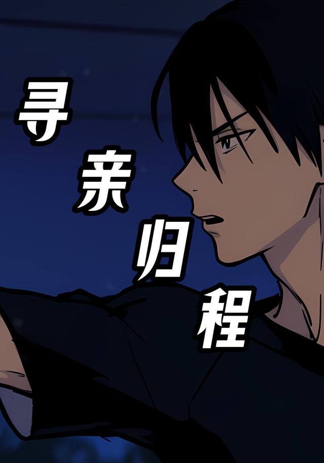 寻亲归程