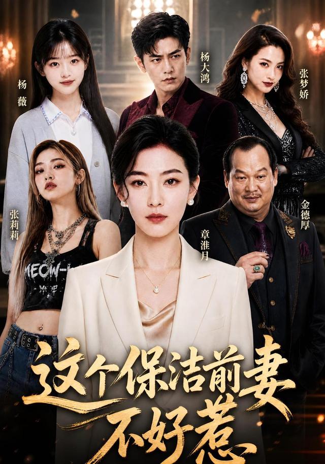 这个保洁前妻不好惹 cover