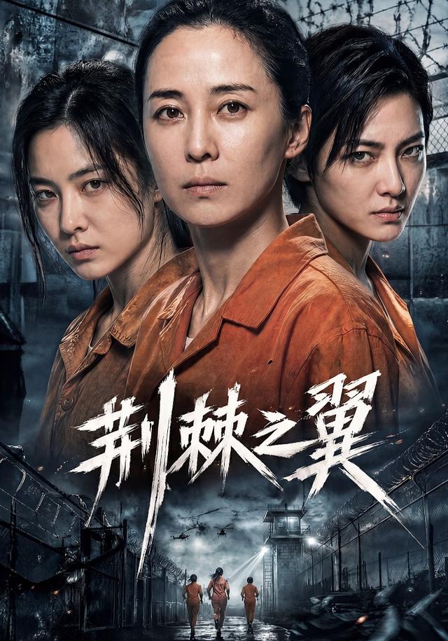 荆棘之翼 cover