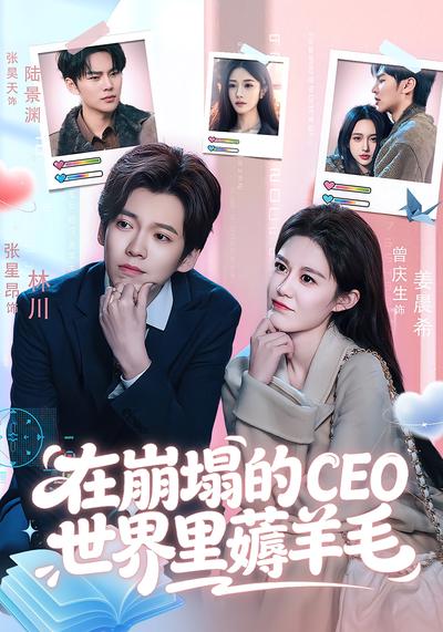 在崩塌的CEO世界里薅羊毛