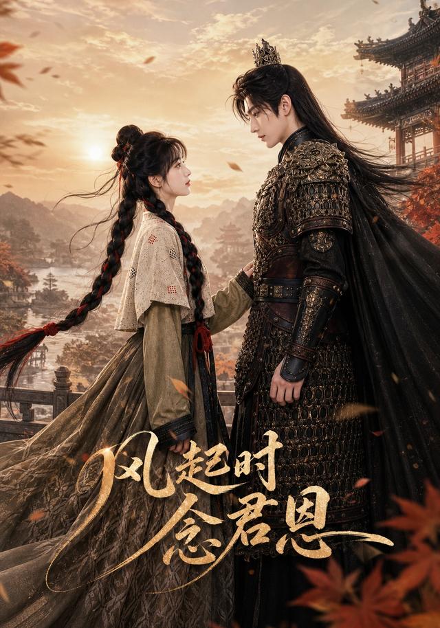 风起时念君恩 cover