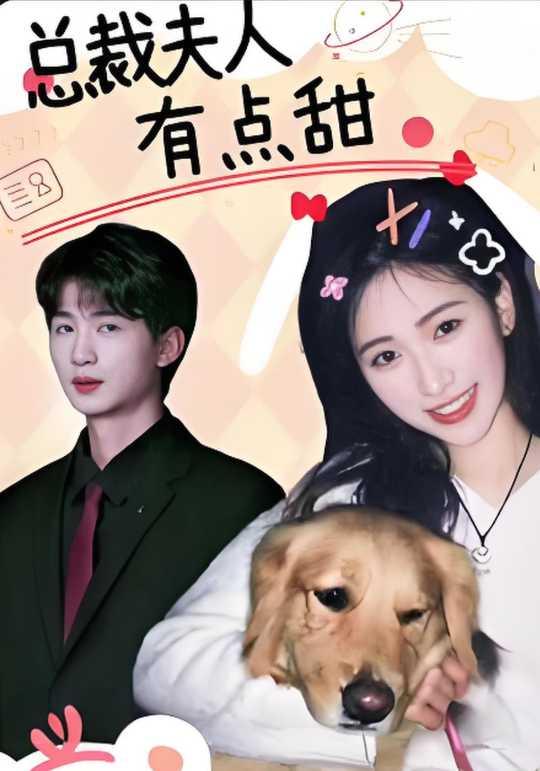 总裁夫人有点甜