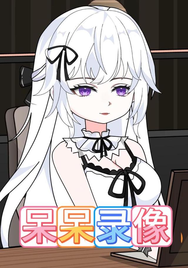 呆呆录像