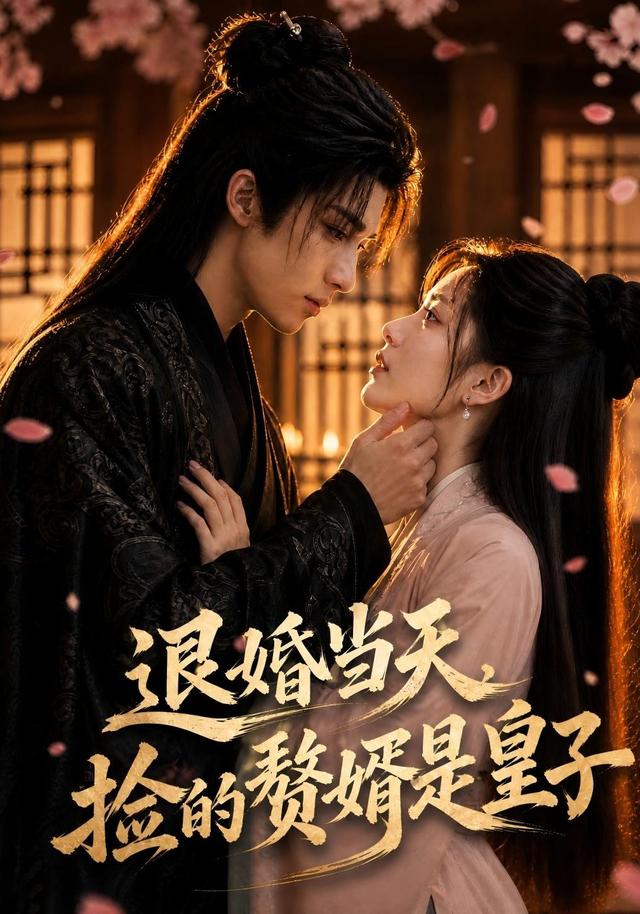退婚当天，捡的赘婿是皇子